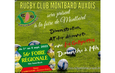 Info 🏉