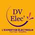 DV ELEC